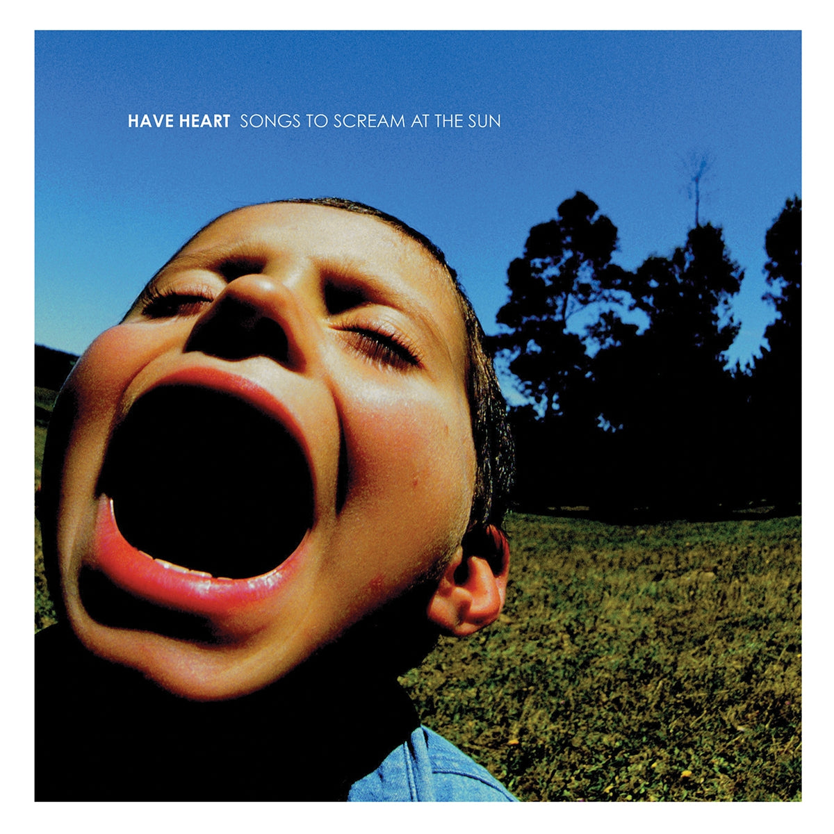 HAVE HEART • Songs To Scream At The Sun (Blue Cornetto) • LP • Pre-Order