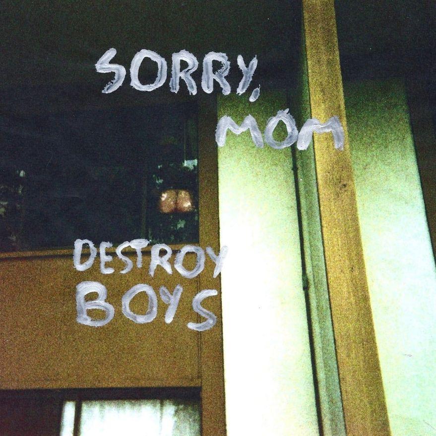 DESTROY BOYS • Sorry, Mom • LP