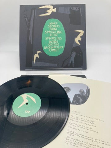 HAPPY ACCIDENTS • Sprawling • LP • Second Hand