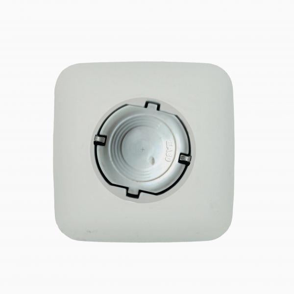 EA80 • Stecker • LP