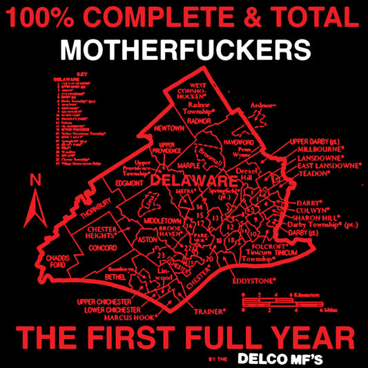 DELCO MF'S • The First Full Year By The... • LP