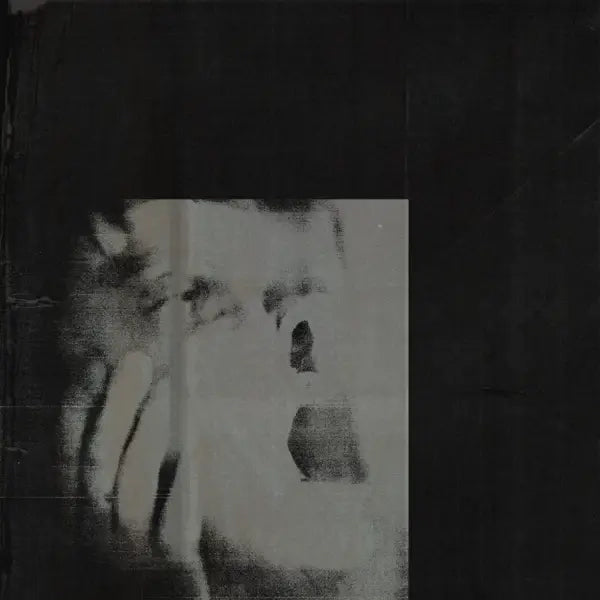 DITZ • Never Exhale • LP