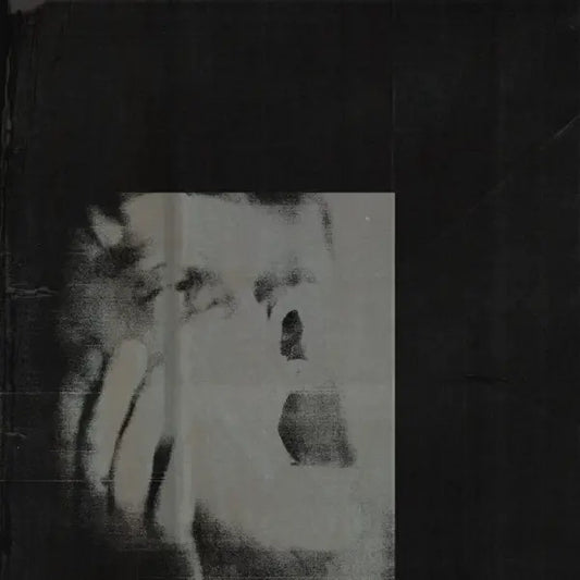 DITZ • Never Exhale • LP