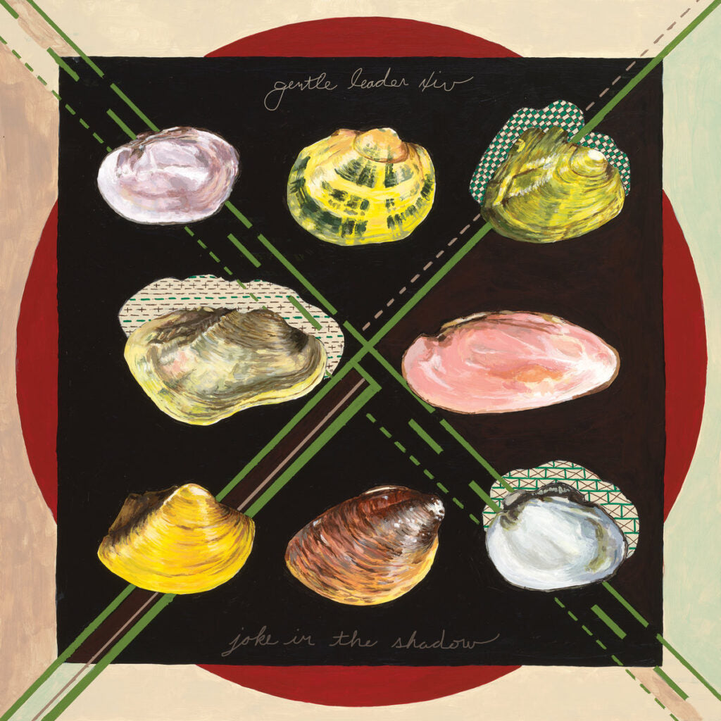 GENTLE LEADER XIV • Joke In The Shad • LP