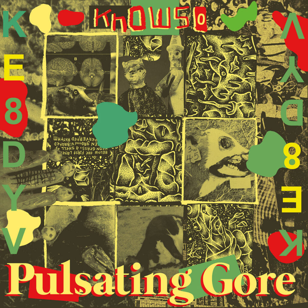 KNOWSO • Pulsating Gore • LP
