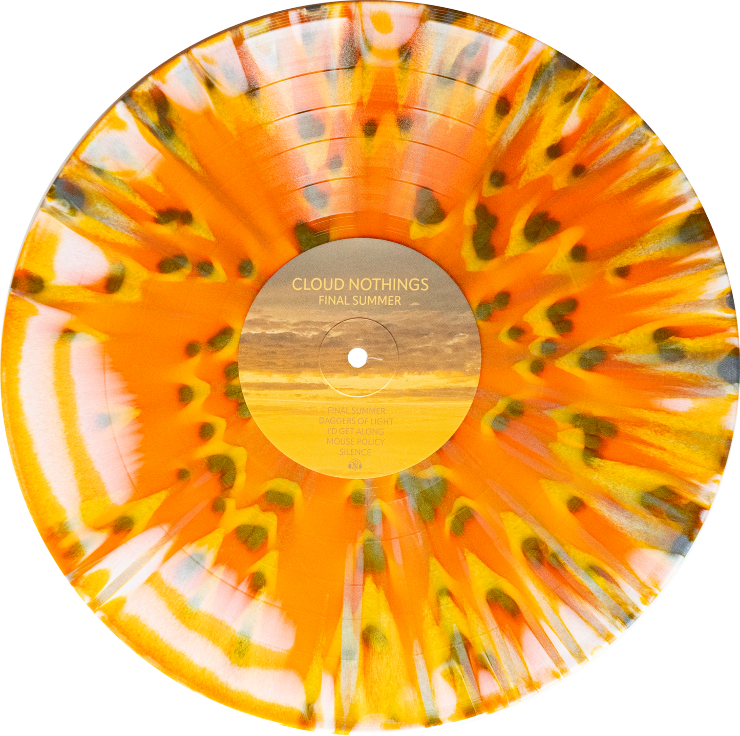 CLOUDS NOTHINGS • Final Summer • LP