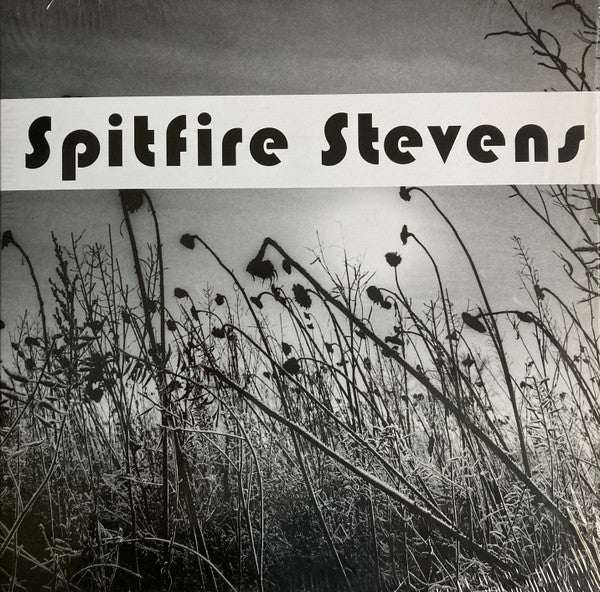 SPITFIRE STEVENS • II • 10"