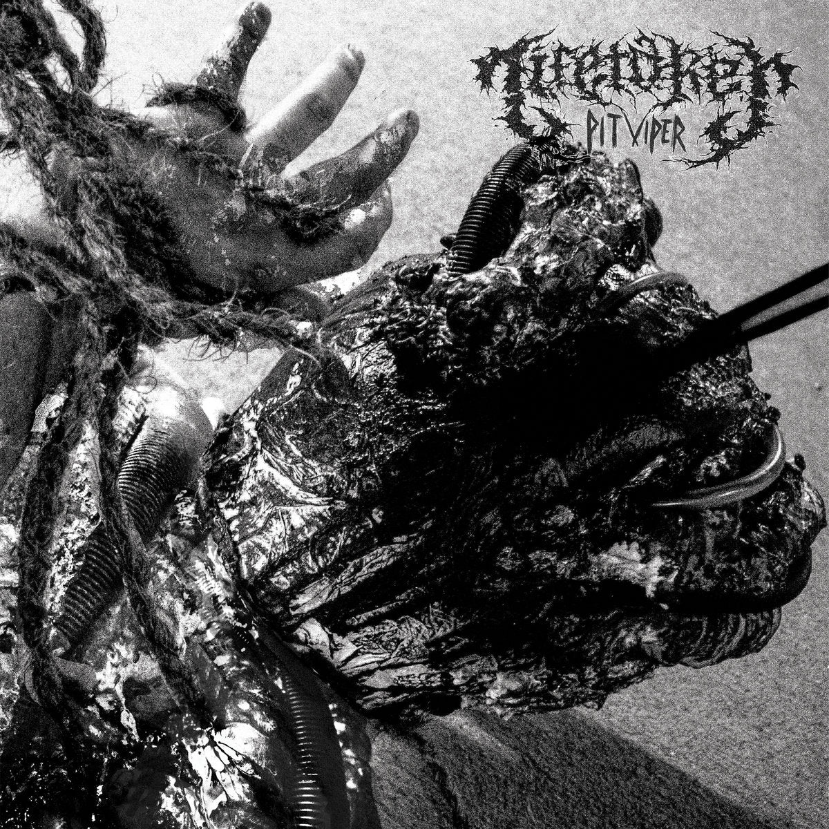 LIFETAKER • Pit Viper • Tape