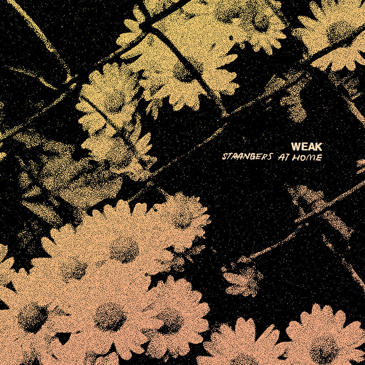 WEAK • Strangers At Home • LP