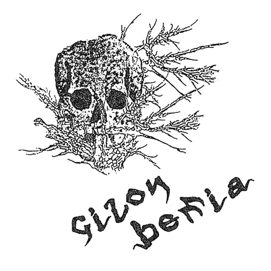 GIZON BERRIA • S/T • 7"
