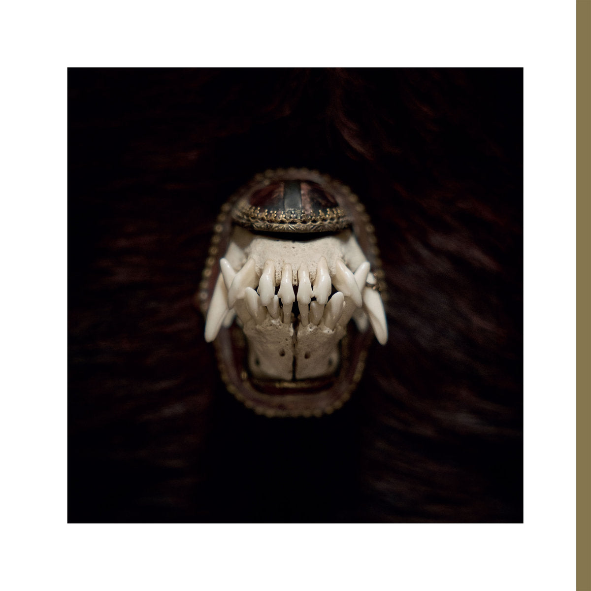 AMENRA • De Toorn • LP • Pre-Order