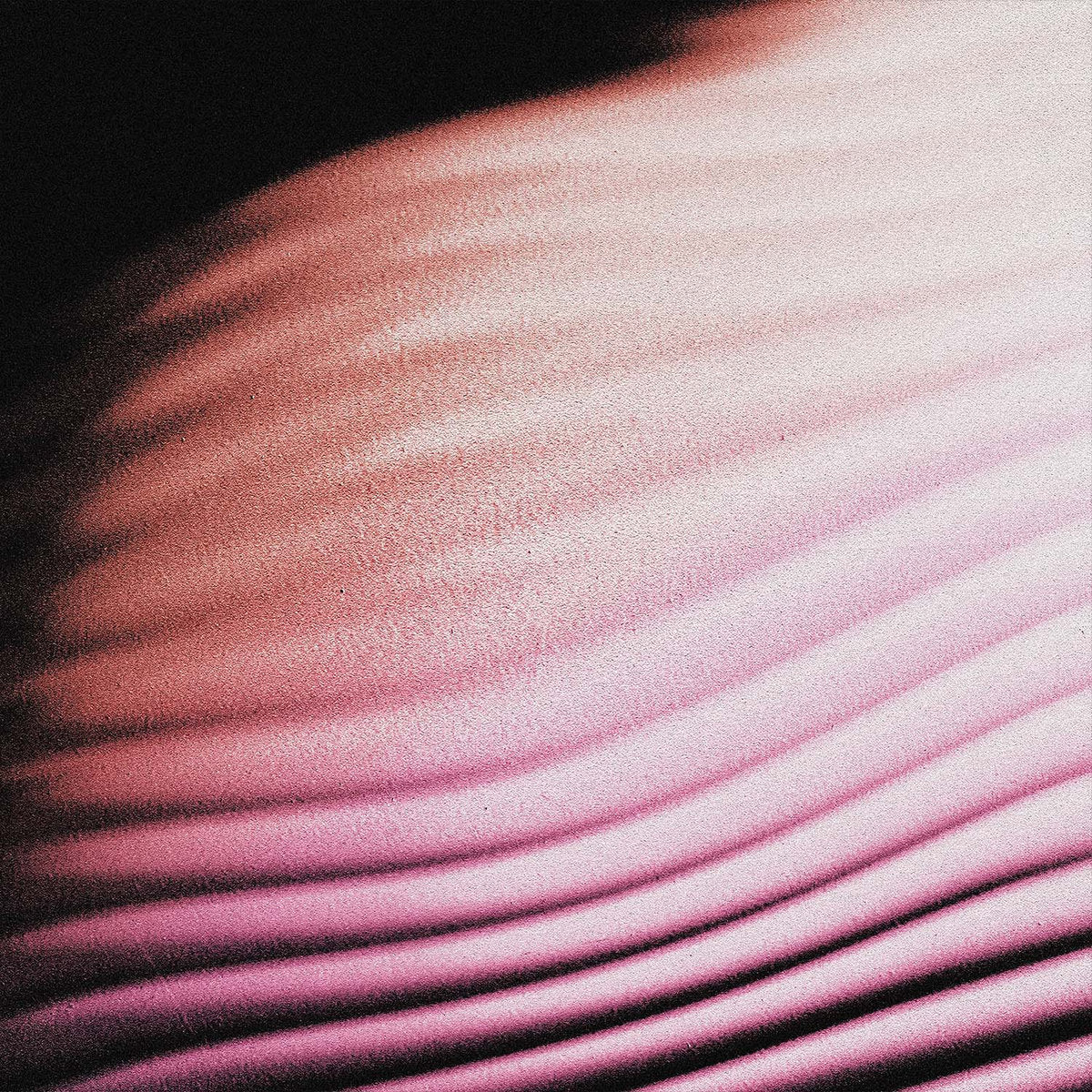 POLAR • Everywhere Everything • LP