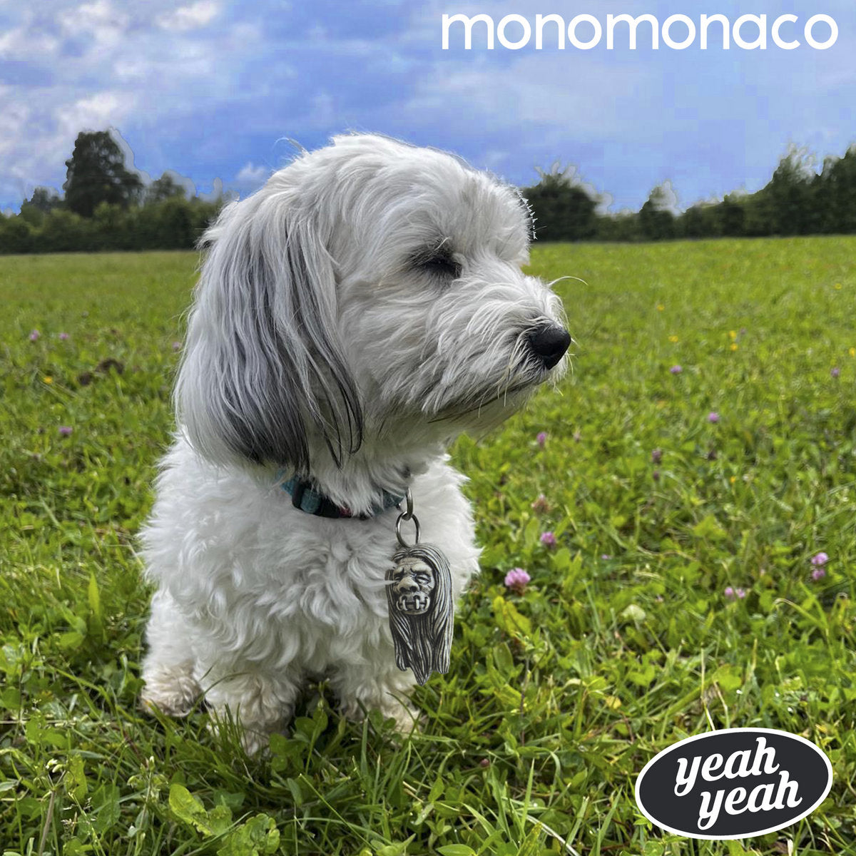 MONOMONACO • Yeah Yeah (Clear Blue Vinyl) • LP