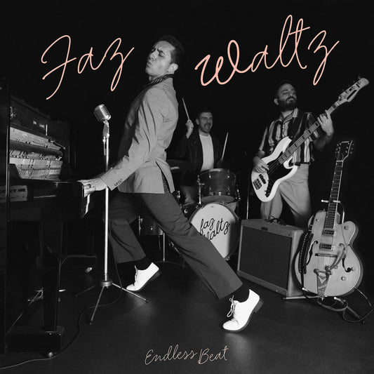 FAZ WALTZ • Endless Beat  • LP