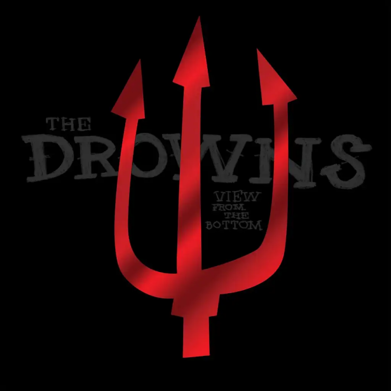 THE DROWNS • View From The Bottom • LP