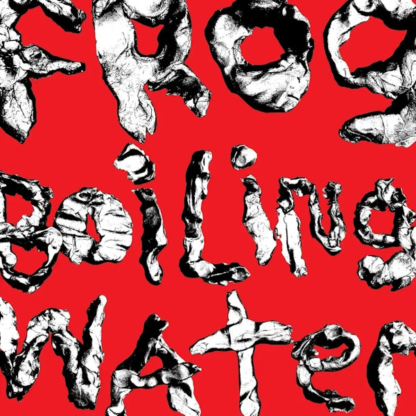 DIIV • Frog In Boiling Water • LP