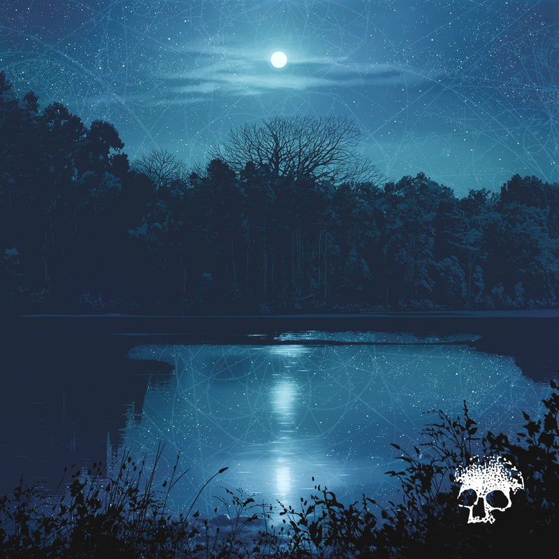 PLANES MISTAKEN FOR STARS • Do You Still Love Me? • LP