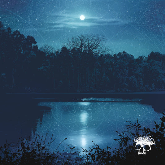 PLANES MISTAKEN FOR STARS • Do You Still Love Me? • LP
