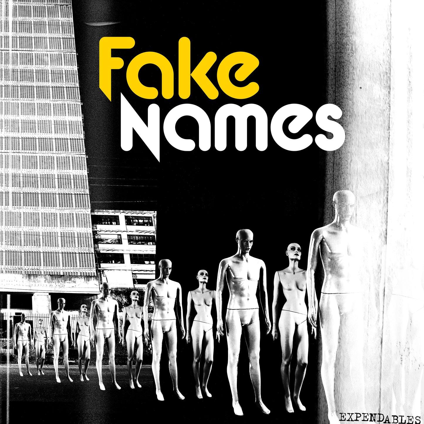 FAKE NAMES • Expendables • LP