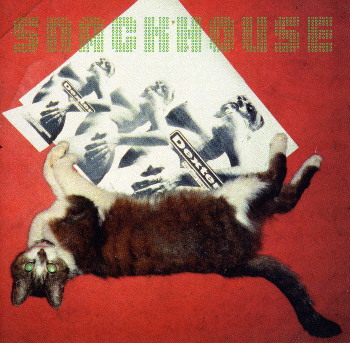 DEXTER • Snackhouse • LP