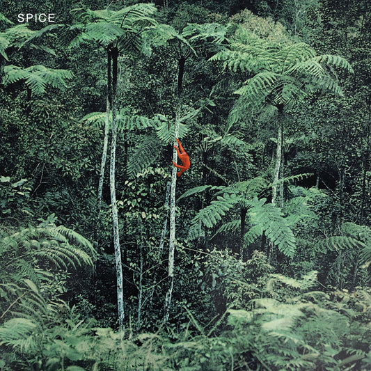 SPICE • s/t • LP