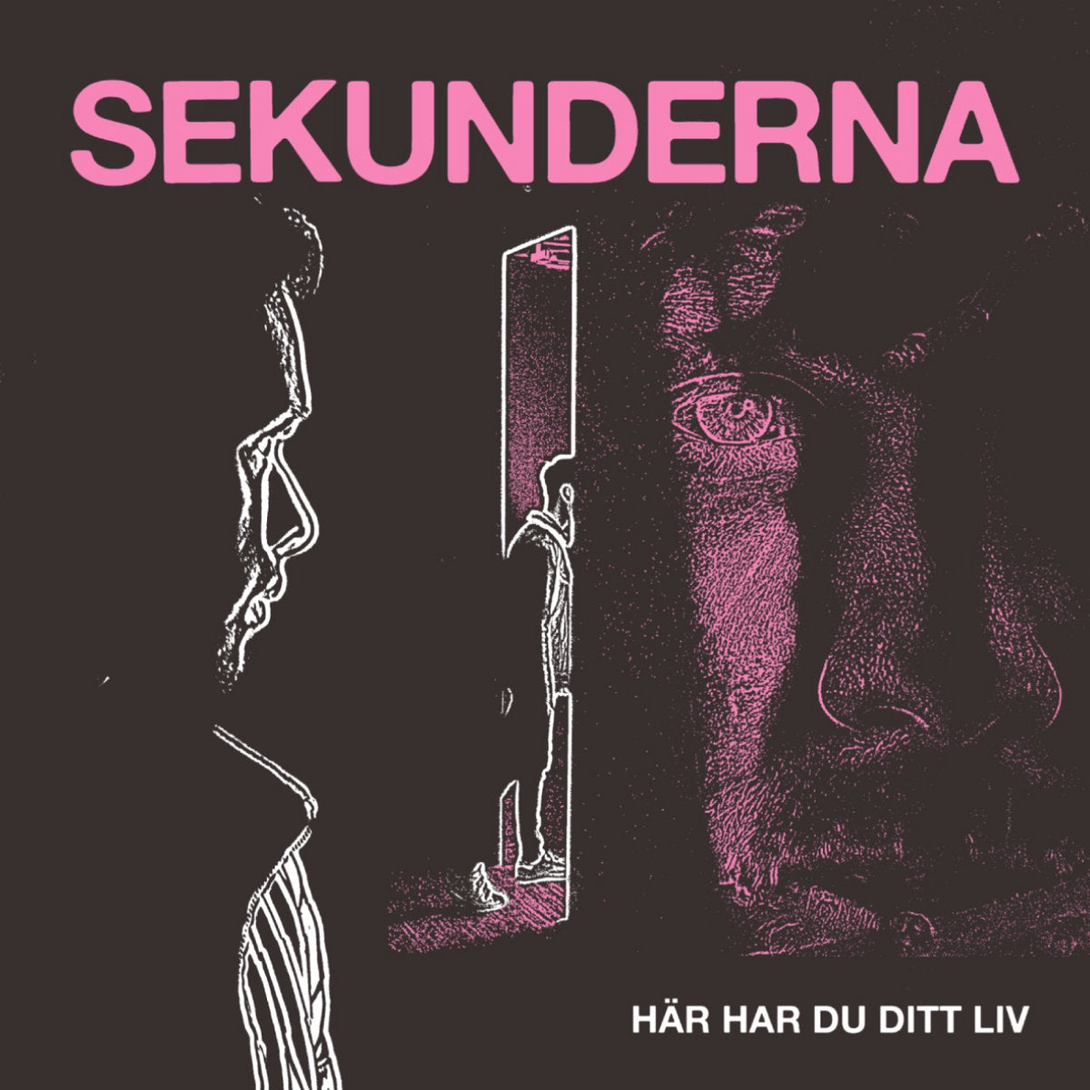 SEKUNDERNA • Här Har Du Ditt Liv • LP