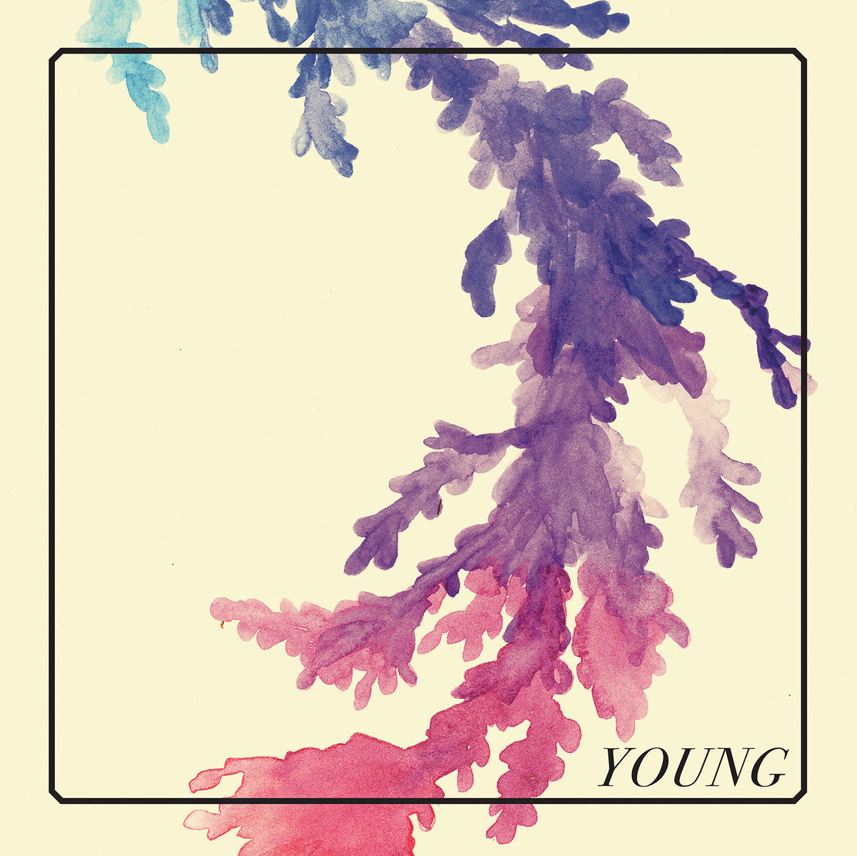 ERICA FREAS • Young • LP