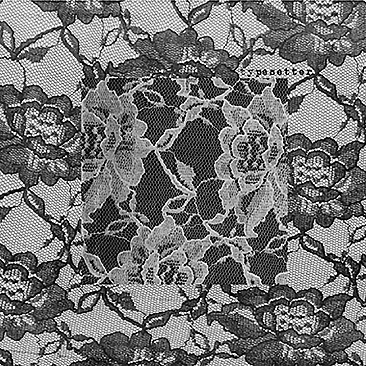 TYPESETTER • Wild's End • LP