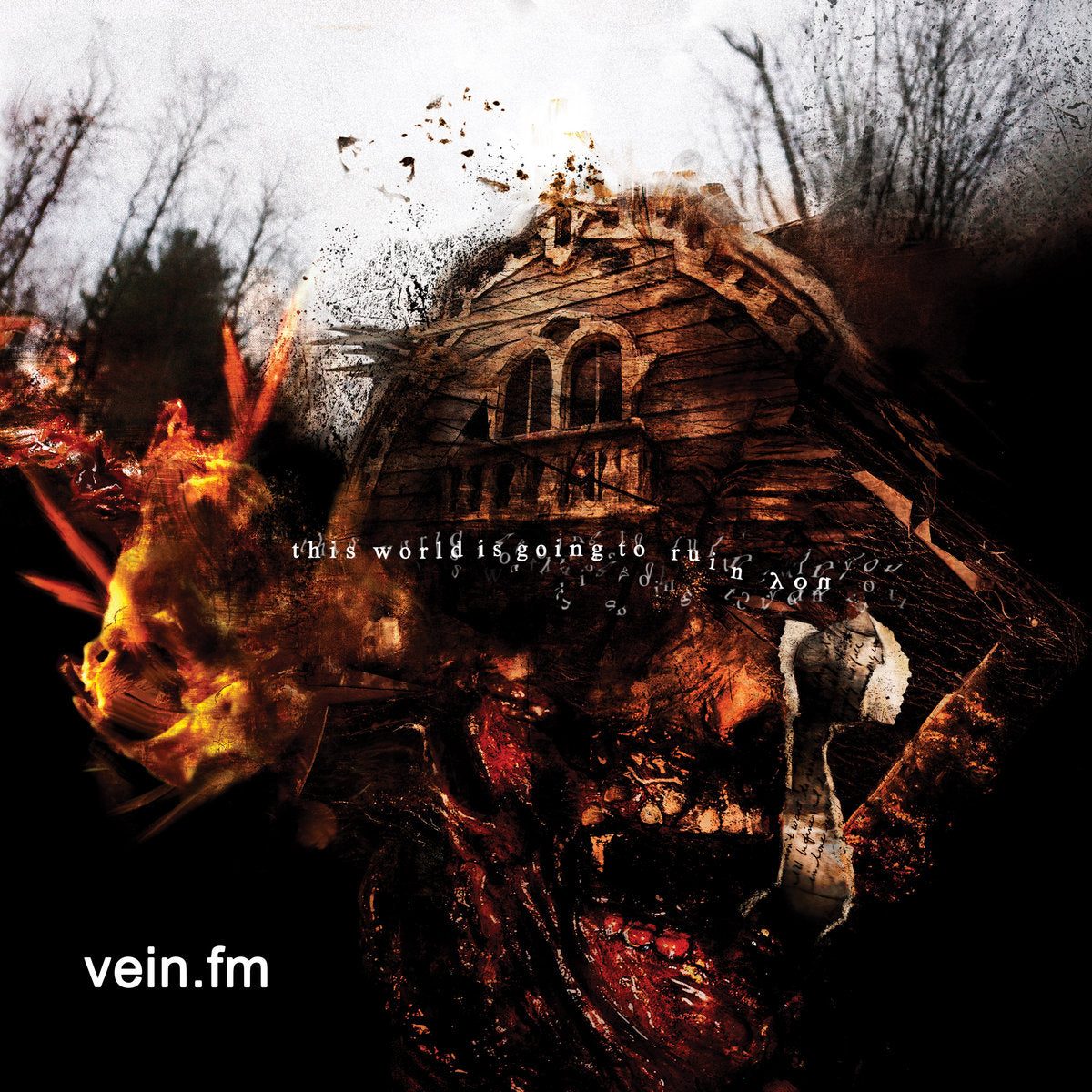 VEIN FM • This World Is Going To Ruin You (Clear w/ Black Smoke & Green Splatter) • LP