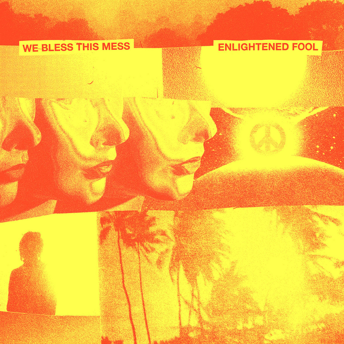 WE BLESS THIS MESS • Enlightened Fool • LP