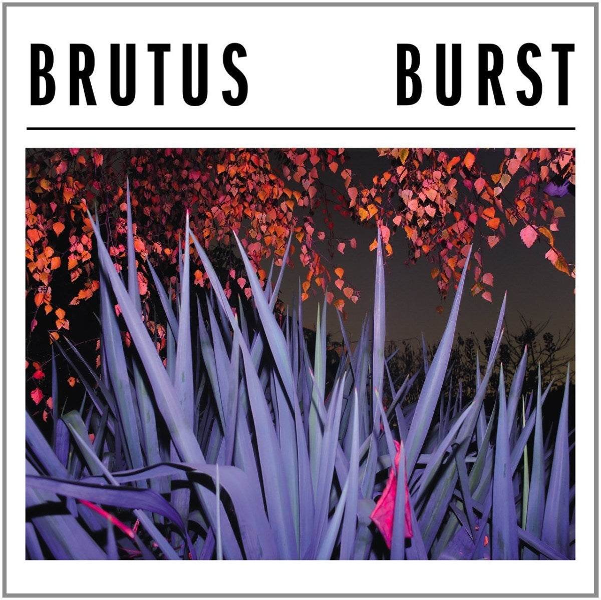 BRUTUS • Burst • LP