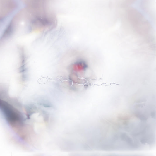 GLIXEN • She Only Said  • LP / Tape