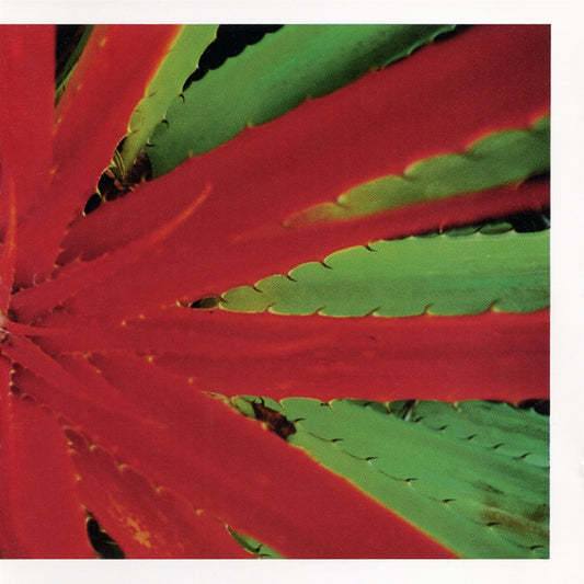 JEJUNE • This Afternoons Malady • DoLP • Pre-Order