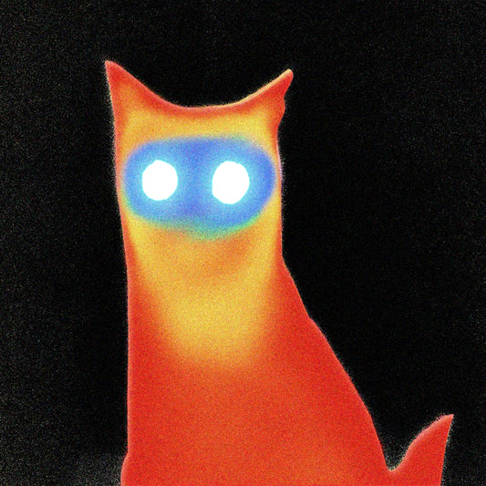 BASEMENT • Wired • LP/CD/Tape • Pre-Order