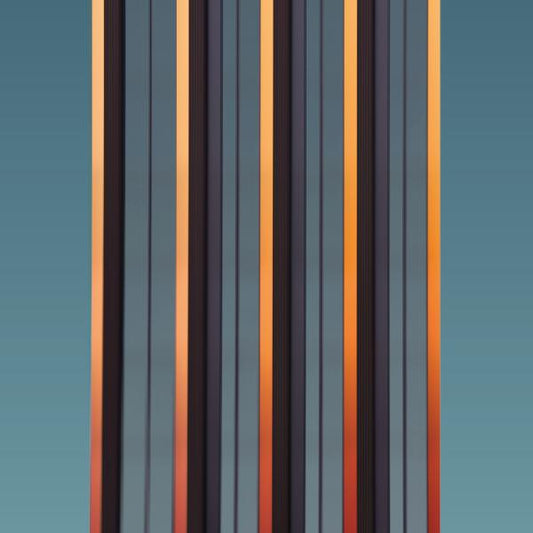 FLUPPE • Boutique (Orange Vinyl) • LP