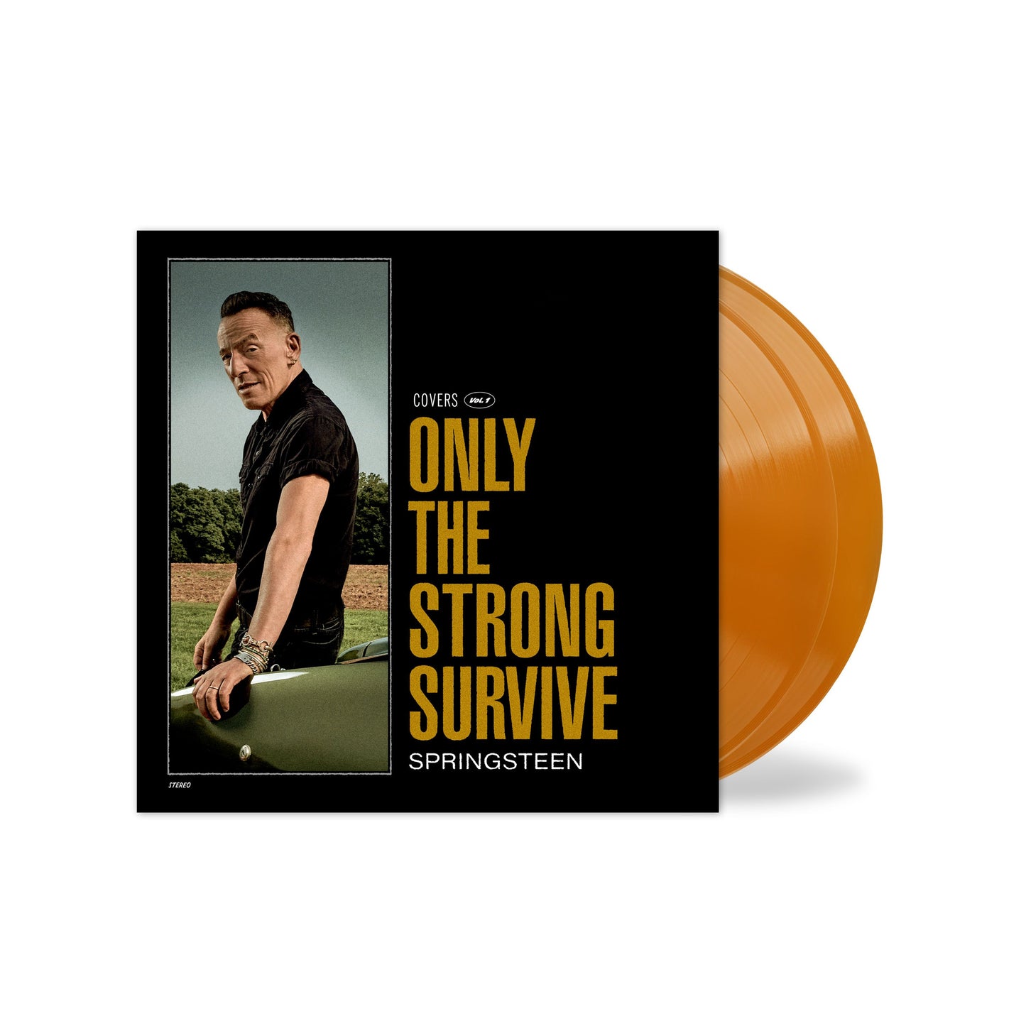 BRUCE SPRINGSTEEN • Only The Strong Survive • DoLP