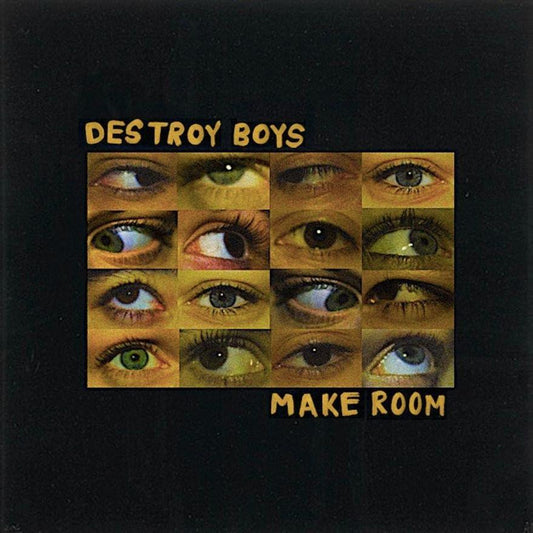 DESTROY BOYS • Make Room • LP • Pre-Order