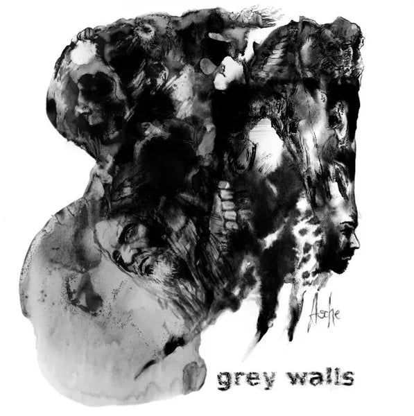 GREY WALLS • Asche • LP
