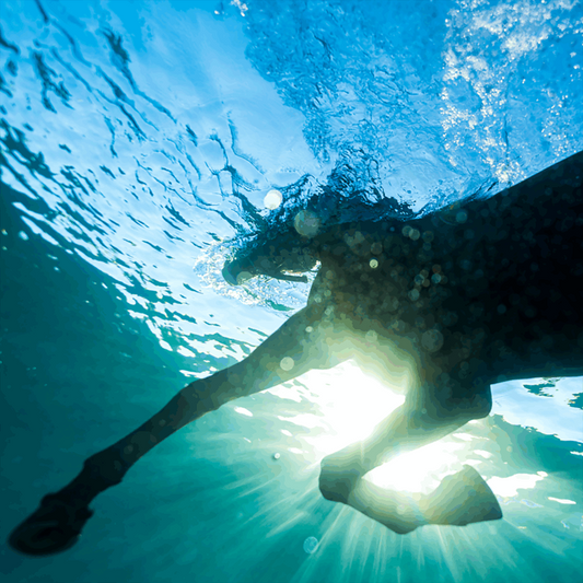 DREAM NAILS • You Wish • LP