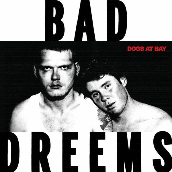 BAD//DREEMS • Dogs At Bay • LP