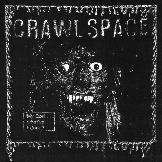 CRAWL SPACE • My God...What've I Done • LP