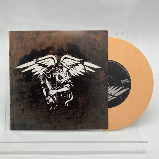 AMERICAN NIGHTMARE • The Sun Isn't Getting Any Brighter (Orange Vinyl, 1st Press) • 7" • Second Hand