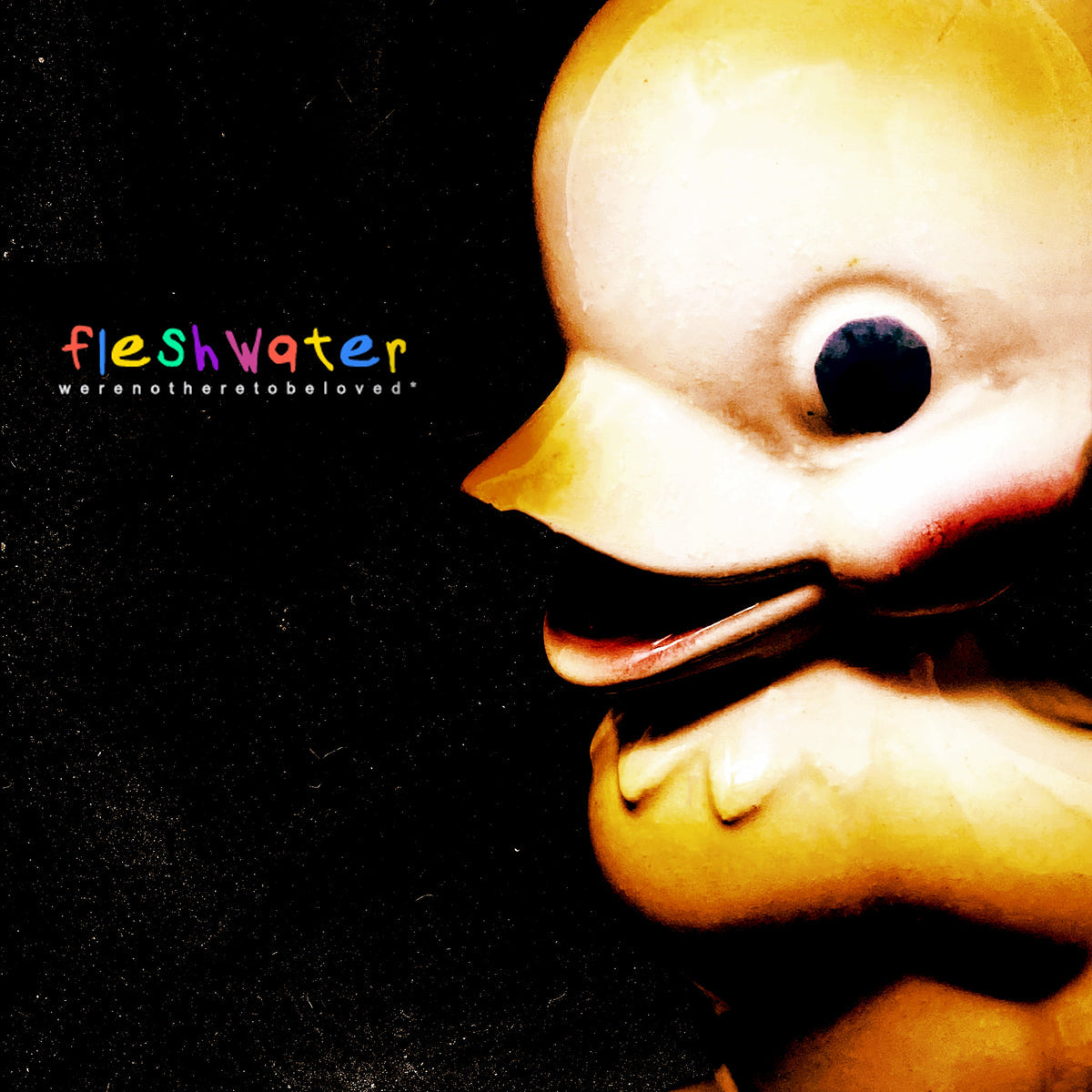 FLESHWATER • We're Not Here To Be Loved (White in clear Vinyl) • LP
