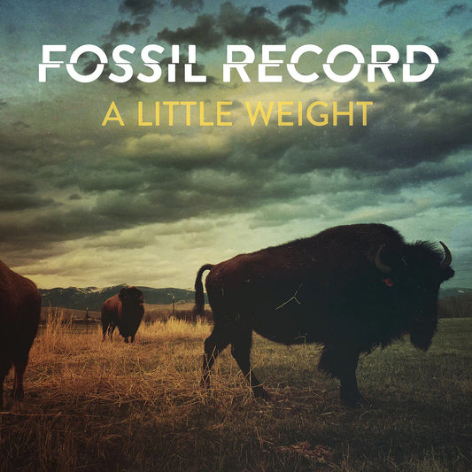 FOSSIL RECORD • A Little Weight • LP