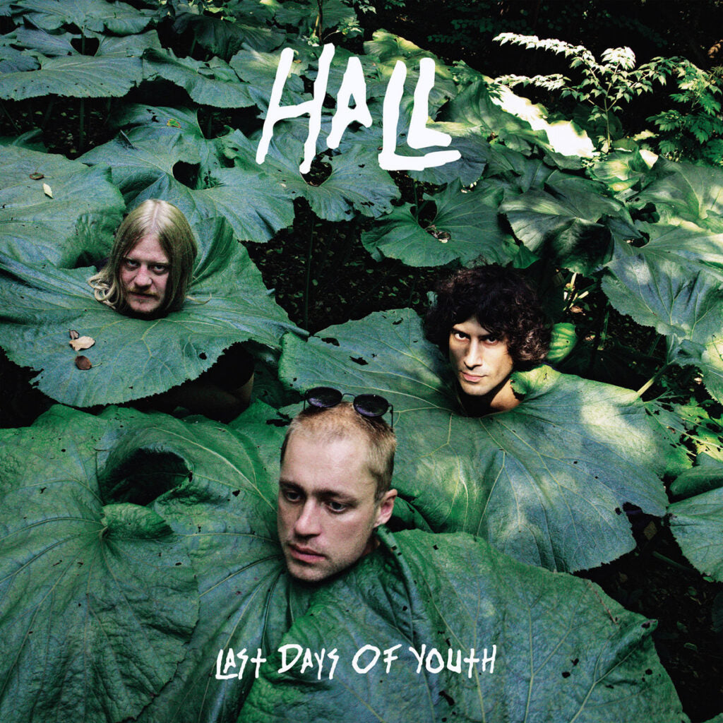 HALL • Last Days Of Youth • LP