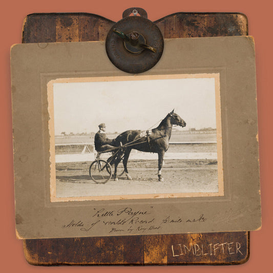LIMBLIFTER • Little Payne • LP