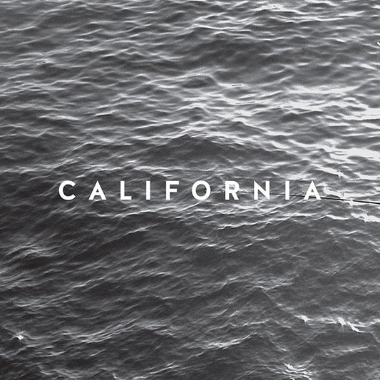 CALIFORNIA • Hate The Pilot • 7"