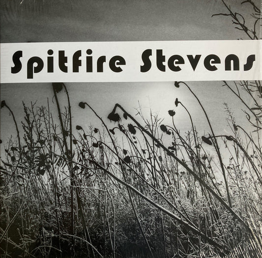 SPITFIRE STEVENS • II • 10"