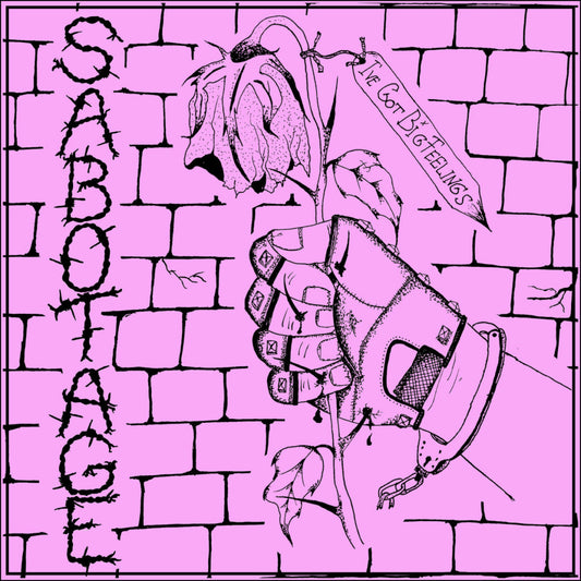 SABOTAGE • I've Got Big Feelings • 7"