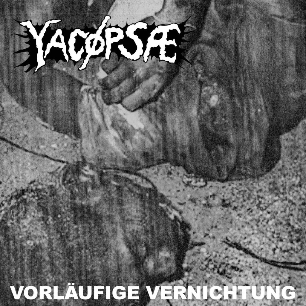 YACÖPSAE • Vorläufige Vernichtung • LP
